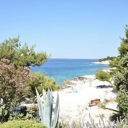 Διαμέρισμα Nediljka Primošten